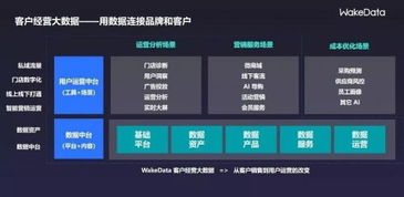 2019全球數(shù)字價(jià)值峰會(huì) WakeData李柯辰——以數(shù)據(jù)為橋，連接品牌與客戶